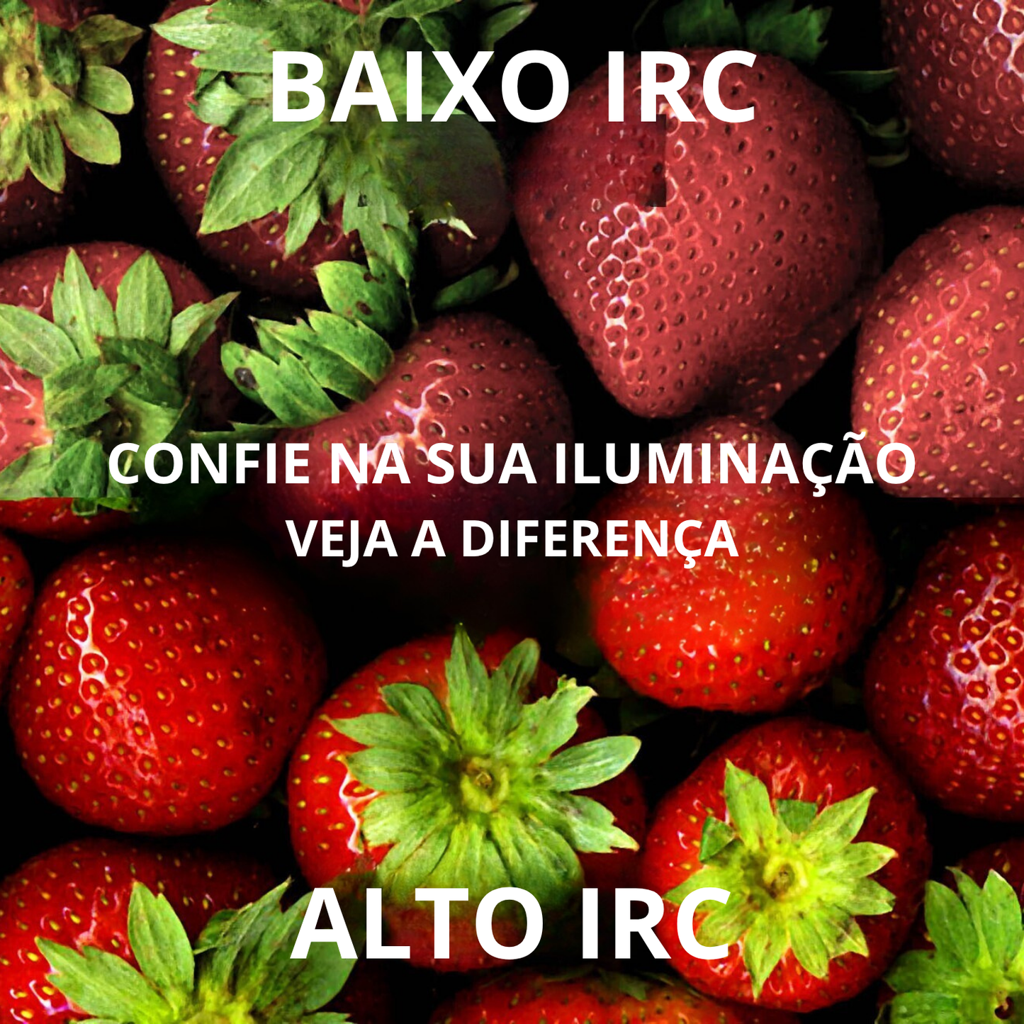 Fonte de Luz Crystal LED